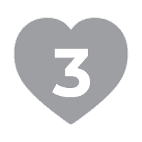 icon 1